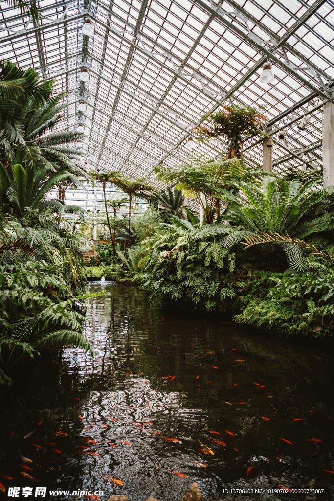 室内植物景观