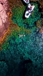海岸