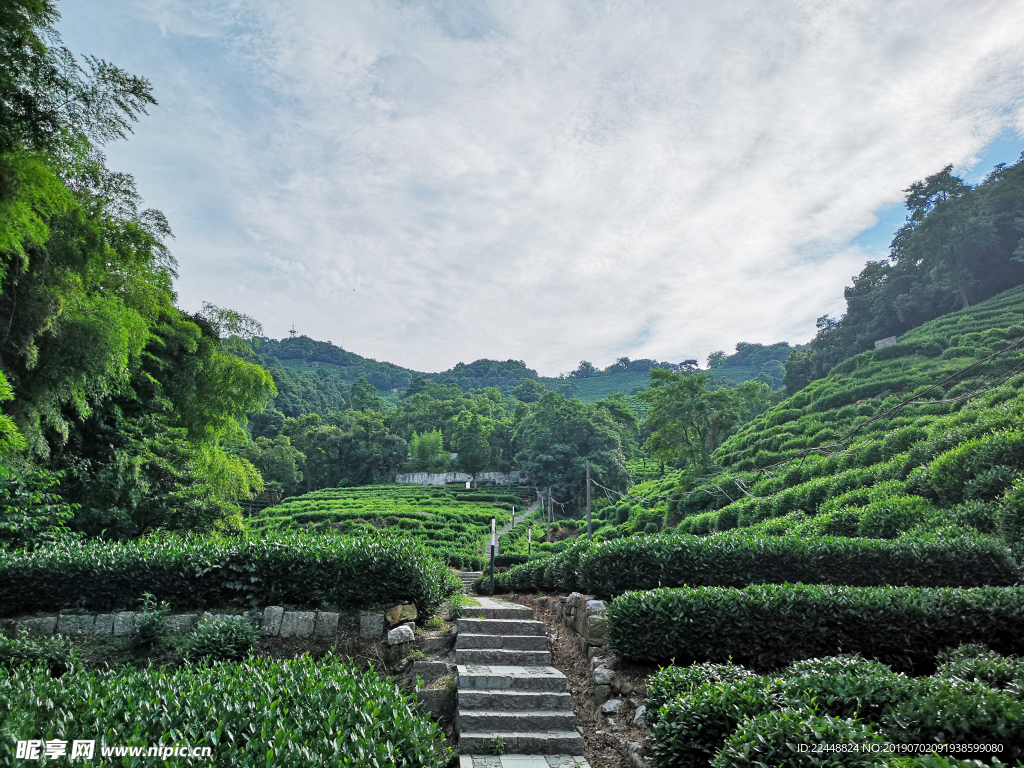 山间小路