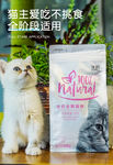 猫粮详情页