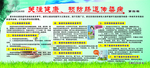 关注健康宣传