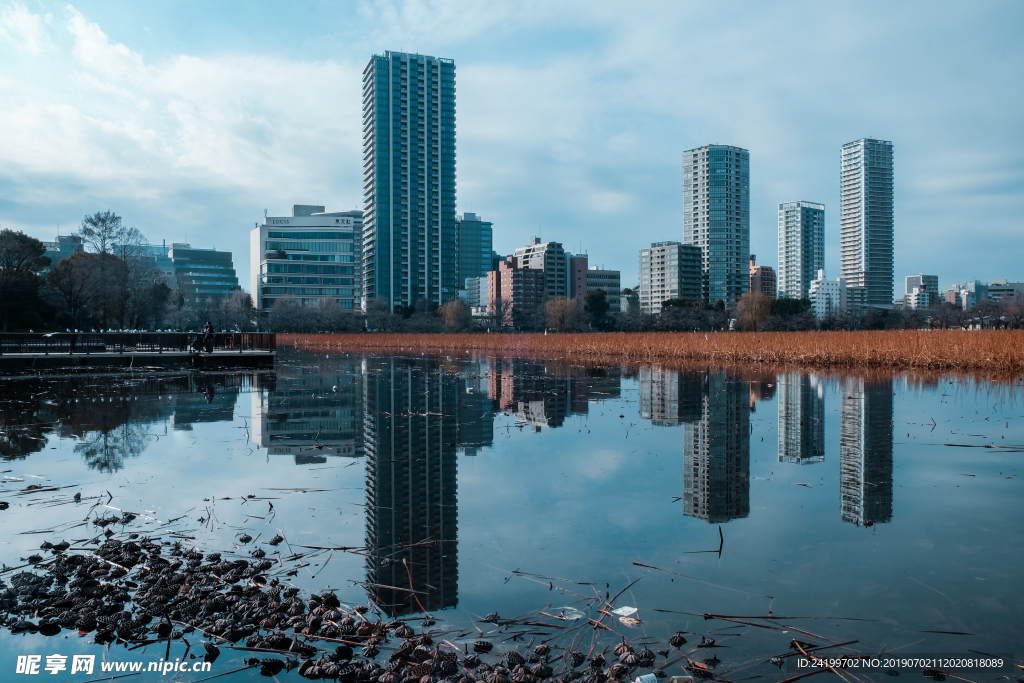 城市
