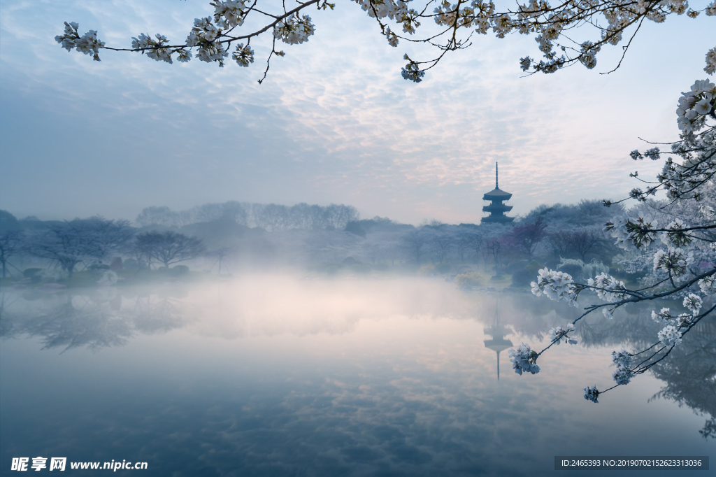 东湖磨山樱花园