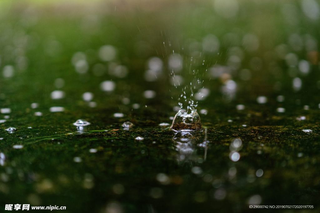 水滴 水珠 露珠