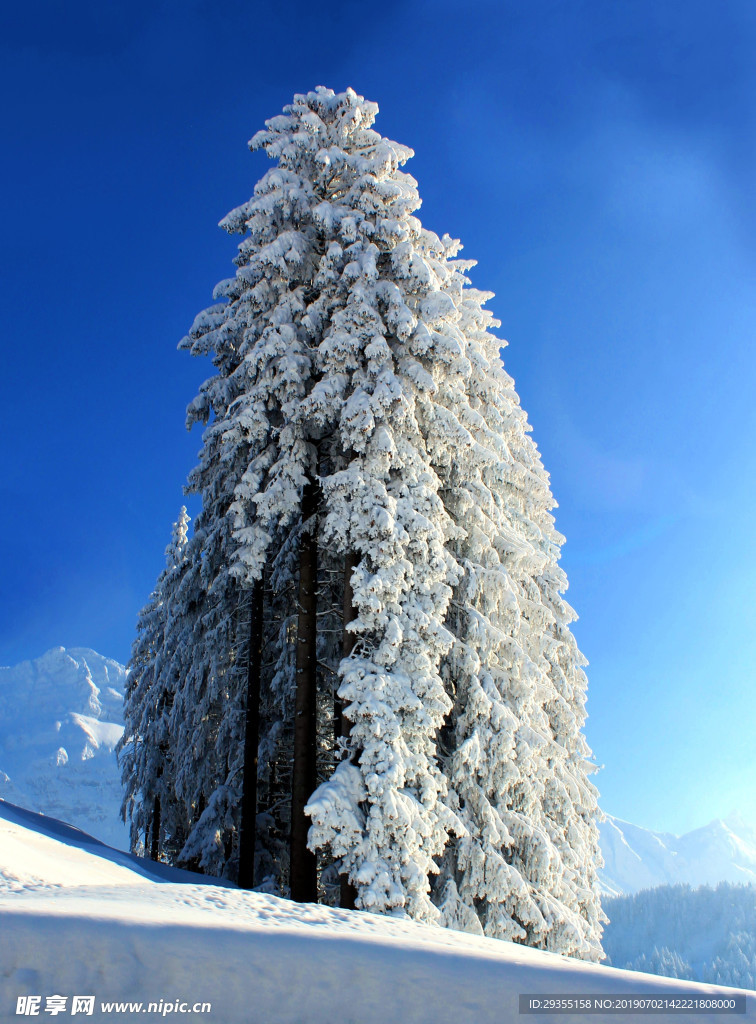 冬天雪景