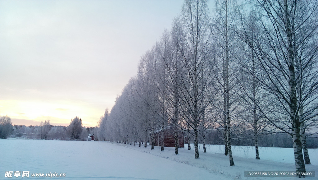 冬天雪景