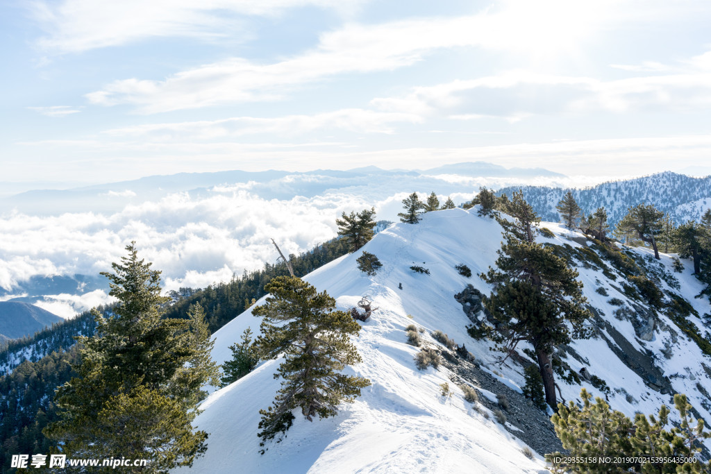 冬天雪景