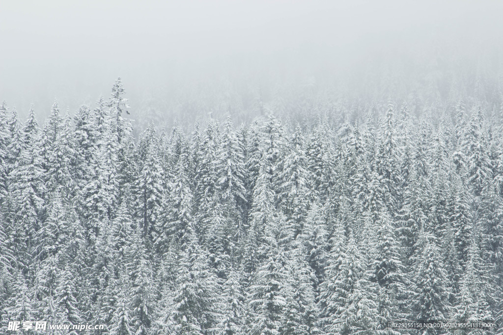 冬天雪景