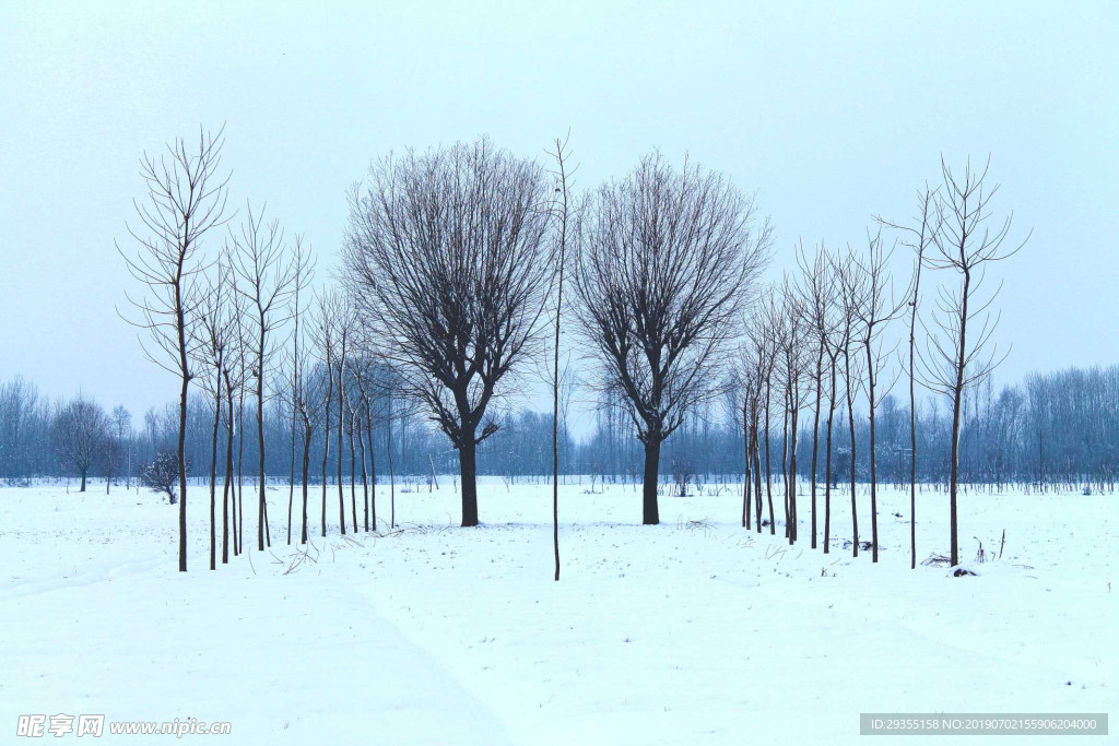 冬天雪景