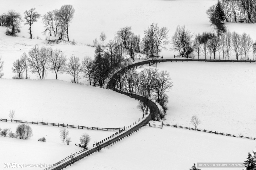 冬天雪景