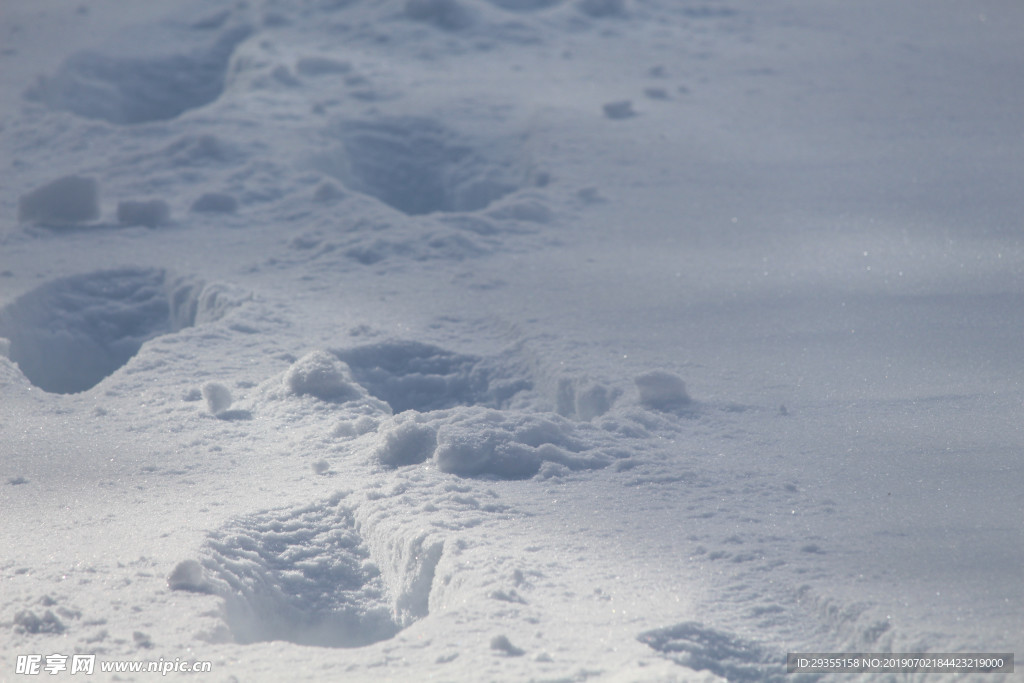 冬天雪景