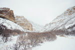 冬天雪景