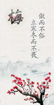 梅兰竹菊 梅花