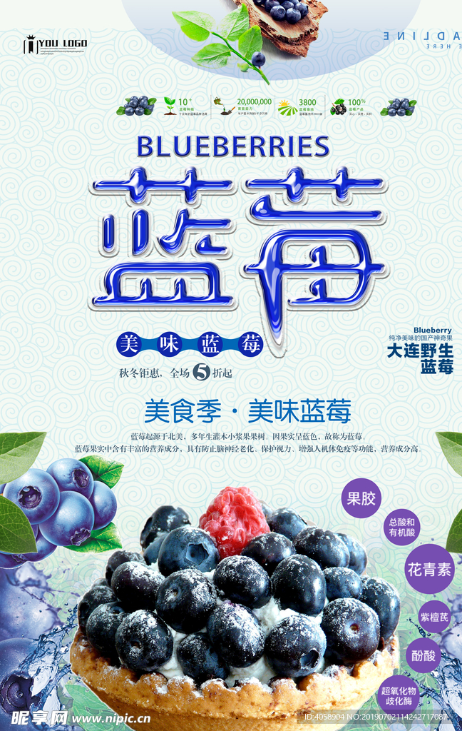 蓝莓新鲜上新海报