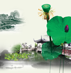 荷花莲蓬园林艺术中国风