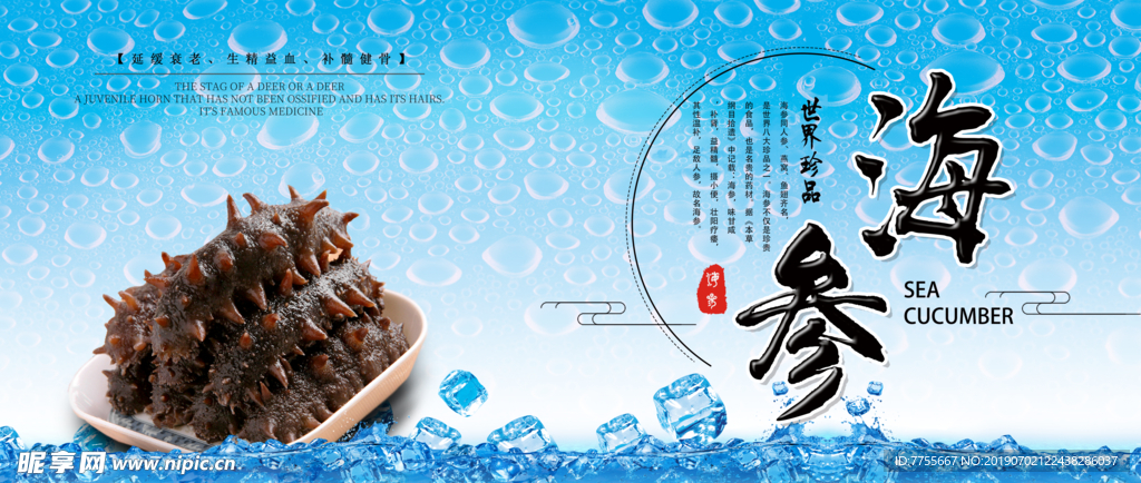 海参