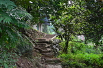 乡间 小路
