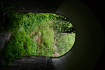 山洞