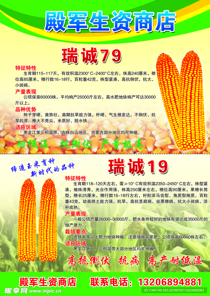 玉米