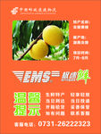 极速鲜 邮政速递