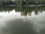 公园湖