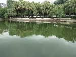 公园湖水