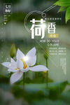 小暑