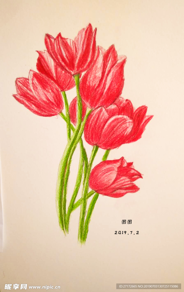 彩铅 花