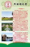 斯坦福大学 学校招生 学校宣传