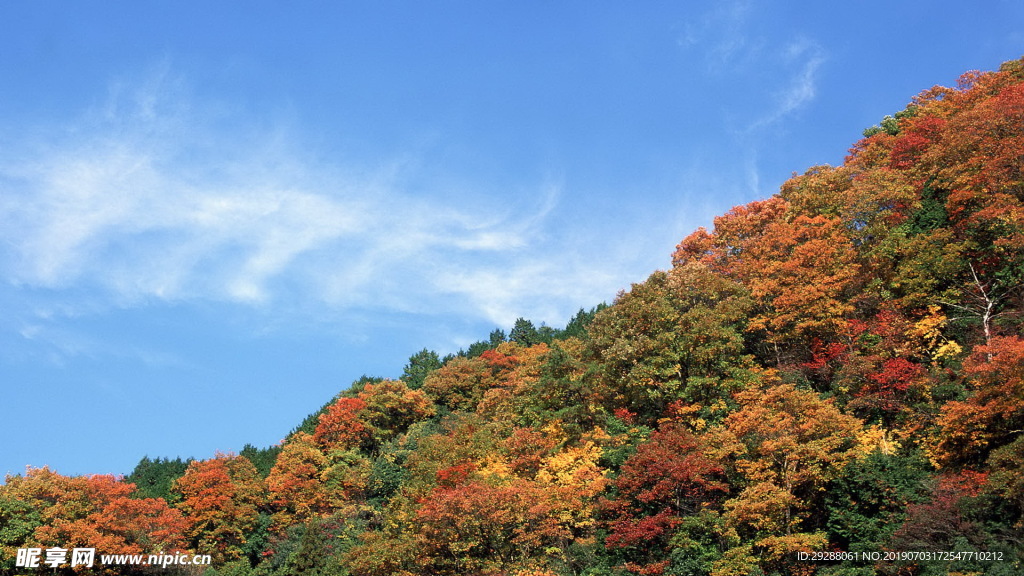 自然风光山