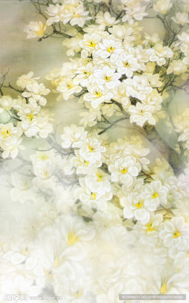 花卉图片