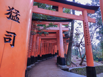 日本京都市伏见稻荷大社 千鸟居