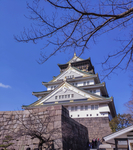 日本大阪市大阪城寺庙
