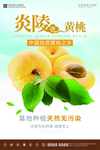 黄桃