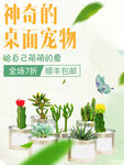 简约小清新风格日常多肉植物海报