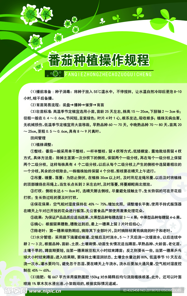 番茄种植操作规程