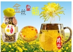 金丝皇菊