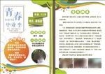 学生海报