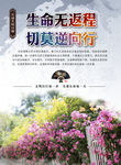 交通文明宣传海报