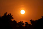 夕阳