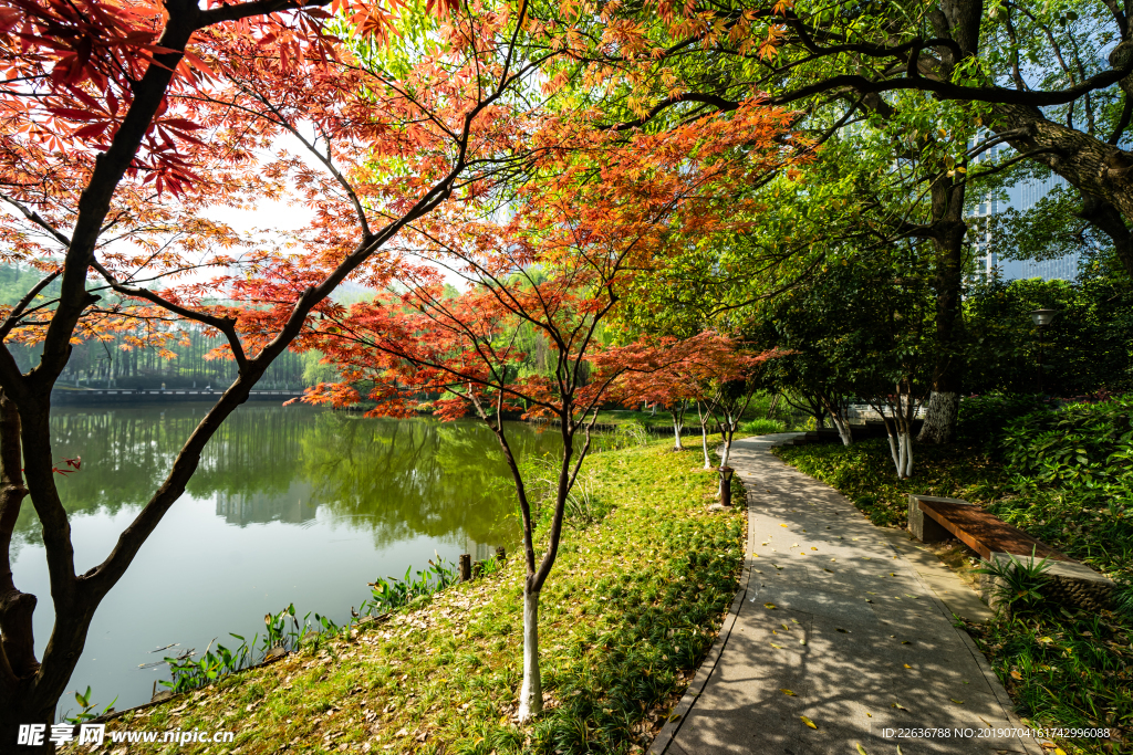 风景图片