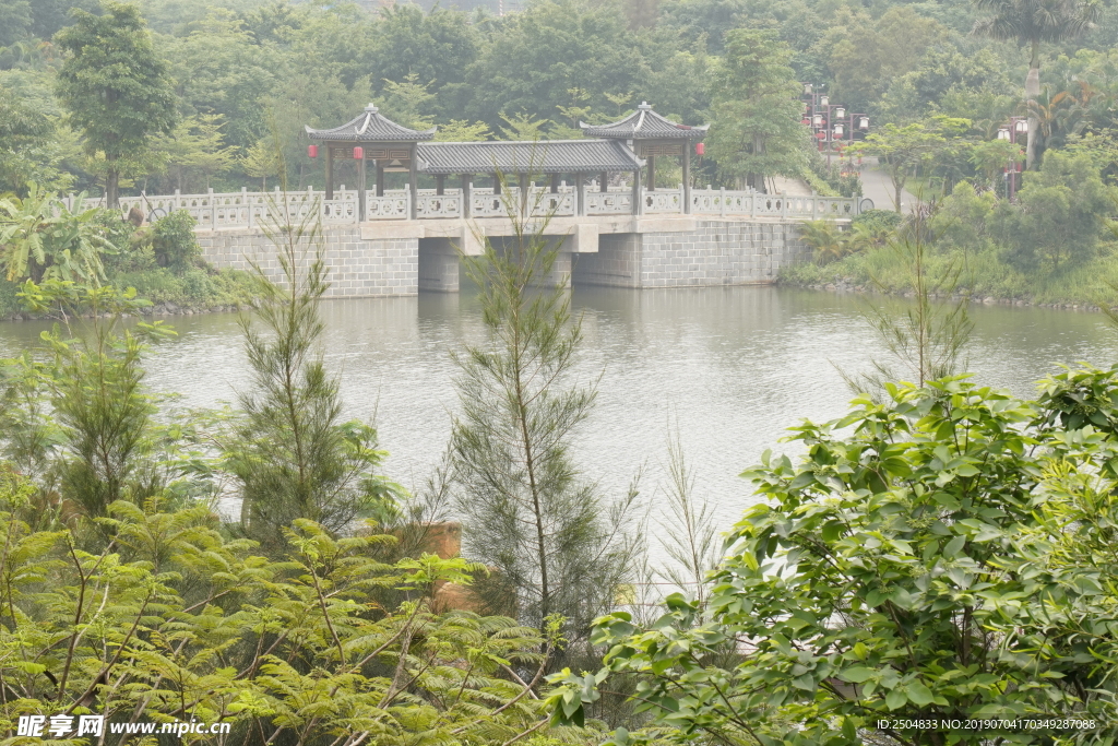 风景