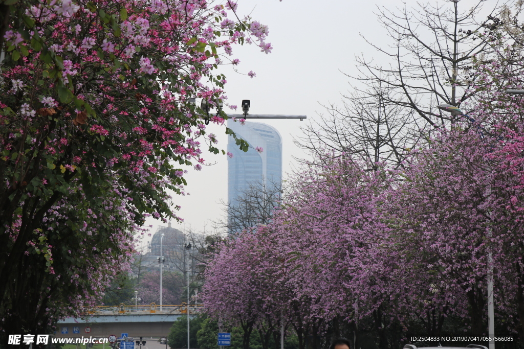 风景