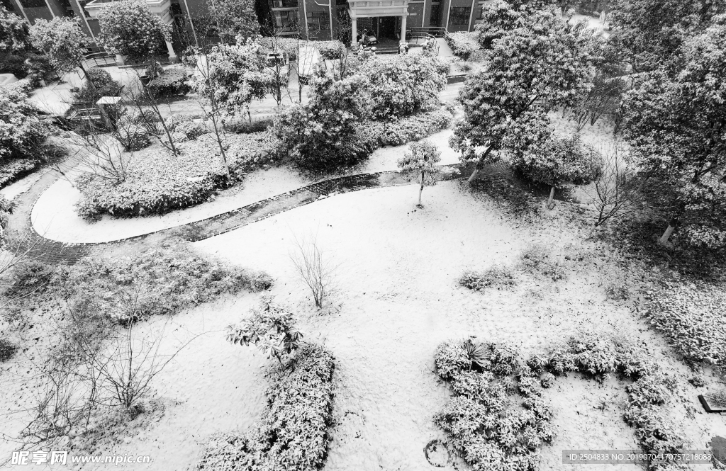 雪地