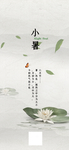 小暑海报