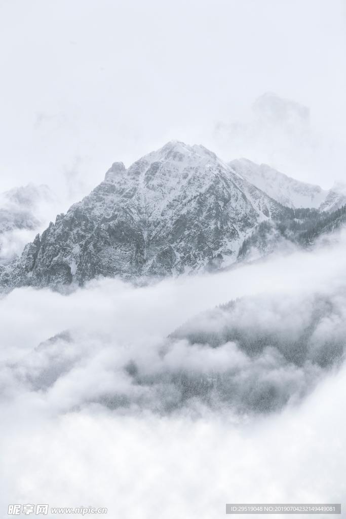 云雾山景