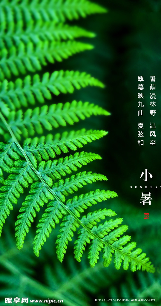 小暑