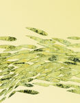 现代简约抽象鱼装饰画素材