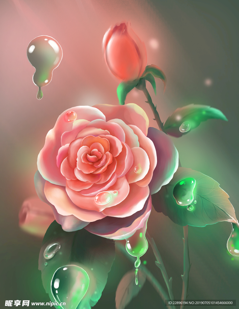 玫瑰花