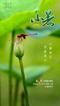 小暑